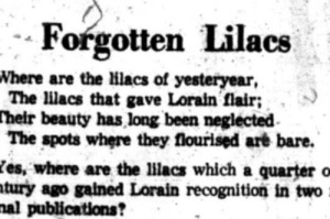 forgotten Lilacs